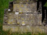 image of grave number 971616